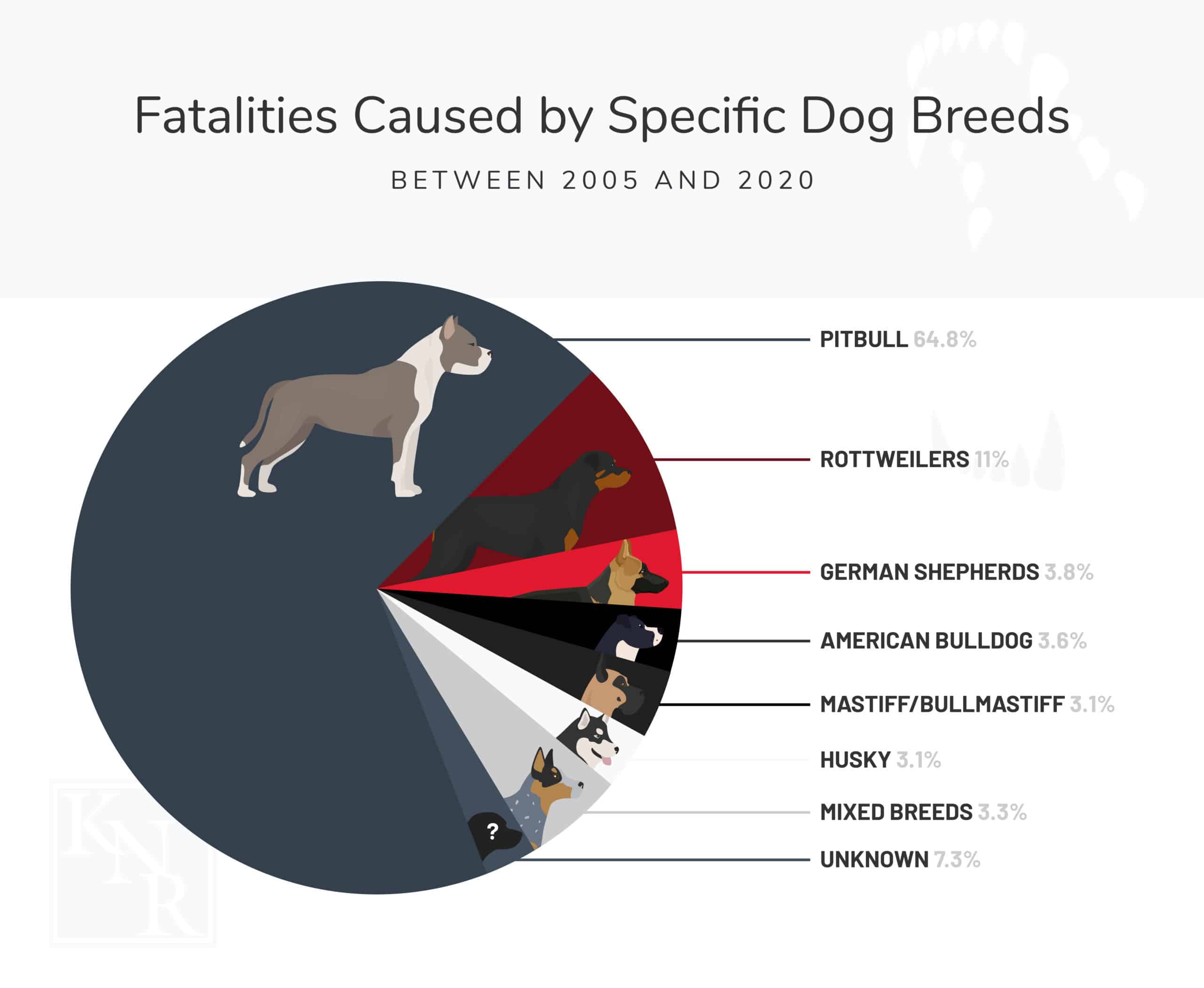 What Are The Dog Breeds That Frequently Bite Humans? | KNR (2023)